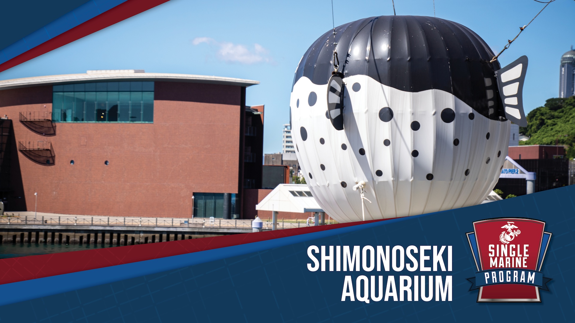 SMP - Shimonoseki Aquarium Trip