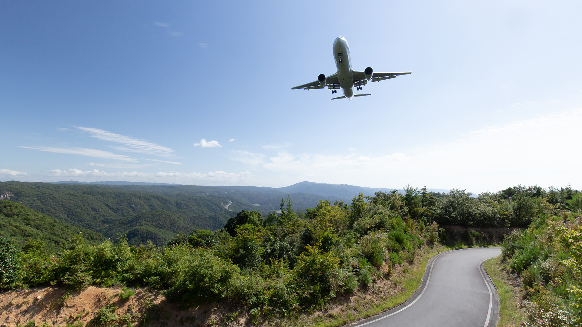 Grape Picking & Lunch at Hiroshima Airport