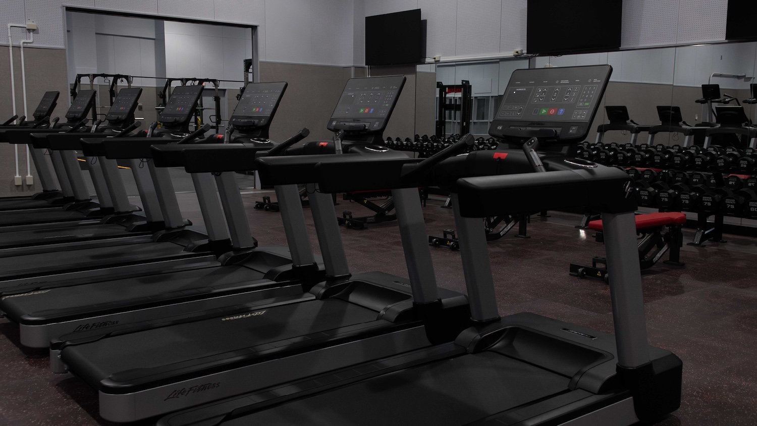 IWS treadmills.jpg