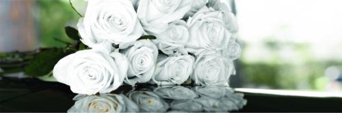 Unbroken Bond: Honoring Marine Corps Gold Star Spouses