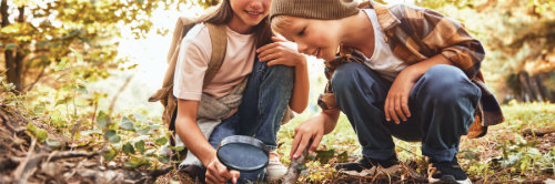 Unplug Your Kids This Summer
