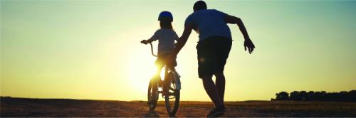 vehicle violation citation