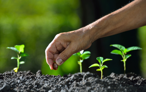 Youth Fitness (Ages 5-6)