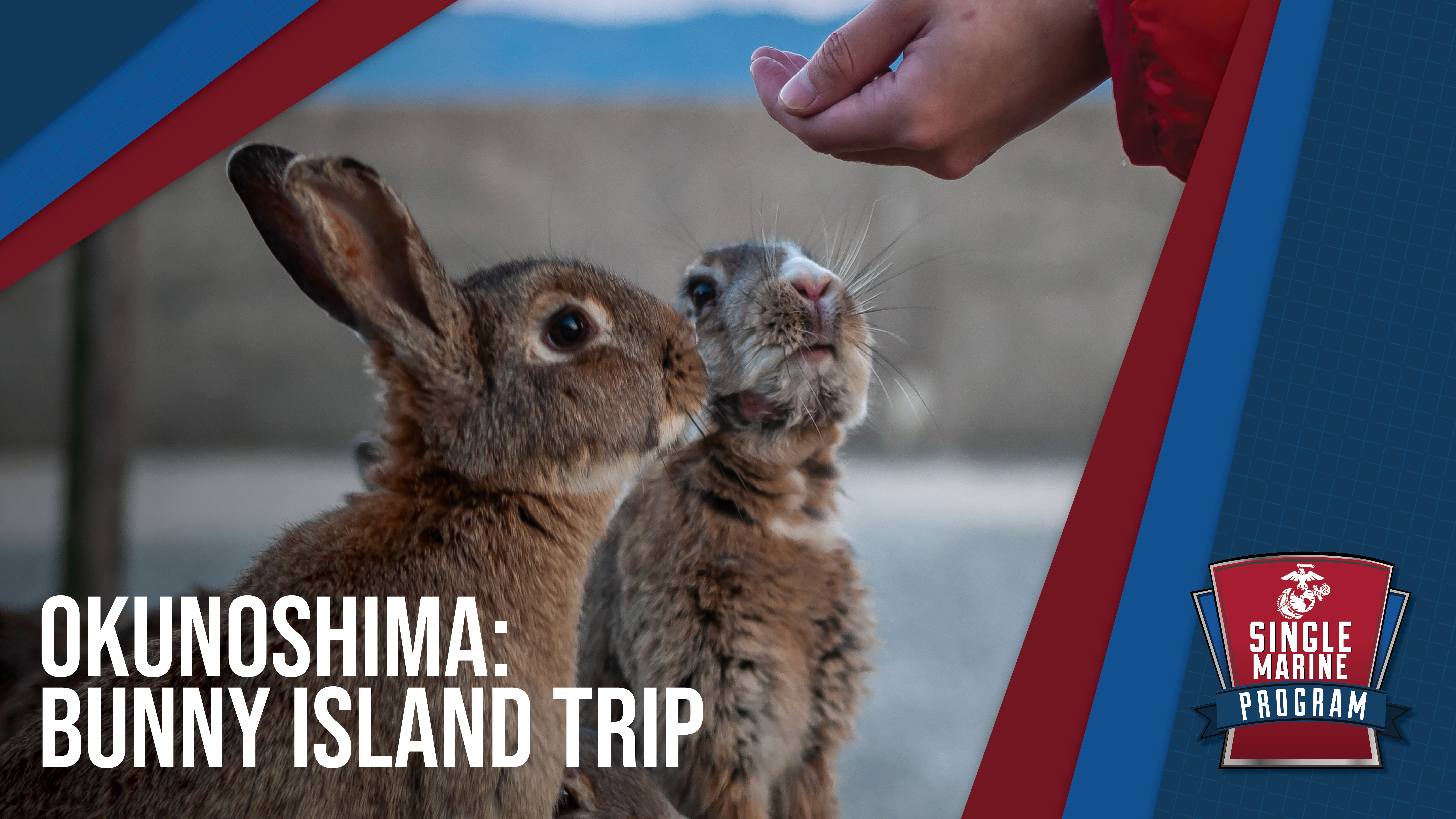 SMP - Bunny Island Trip