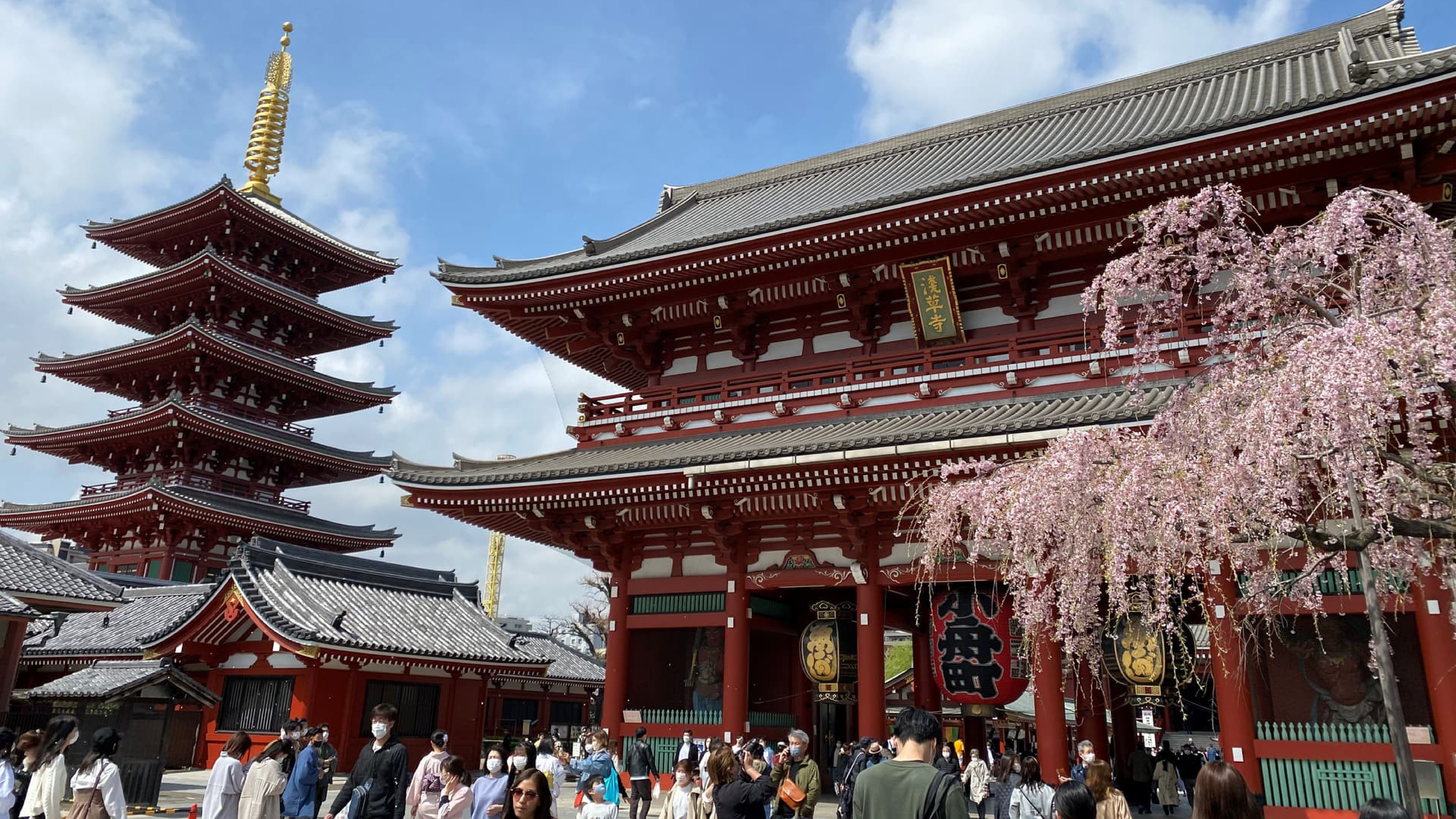 Tokyo Fun Trip | Spring Break Special 